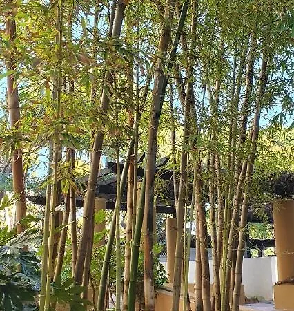 Jardines De Golondrinas Elviria By The Nikki Apartment Marbella